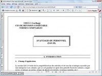 Explication de la norme comptable Internationale IAS 19 Explication de la norme comptable Internationale IAS 19