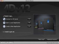 4D 4D