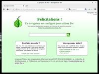 Tor Browser (Vidalia Bundle) Linux Tor Browser (Vidalia Bundle) Linux