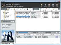 WitchFile WitchFile
