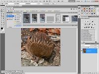 Adobe Photoshop CS6 Extended Adobe Photoshop CS6 Extended