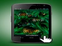 Big Cats Animated Wallpaper Big Cats Animated Wallpaper