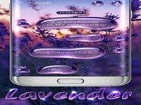GO SMS LAVENDER THEME GO SMS LAVENDER THEME