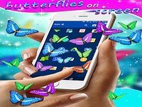 Real Butterflies on Screen Real Butterflies on Screen