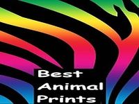 Best Animal Print Wallpapers Best Animal Print Wallpapers