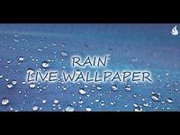 Pluie fond d'écran animé Pluie fond d'écran animé