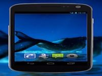 4K Whales Video Live Wallpaper 4K Whales Video Live Wallpaper