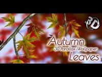 Autumn Leaves in HD Gyro 3D Parallax Wallpaper Autumn Leaves in HD Gyro 3D Parallax Wallpaper