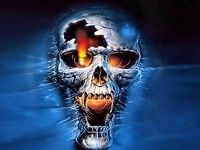 3D Skull 3D Skull