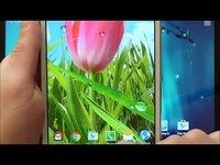 Spring Live Wallpaper Spring Live Wallpaper
