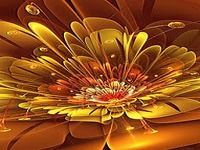 3D Flower Wallpapers 3D Flower Wallpapers