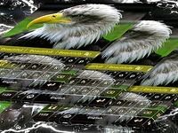 Eagle Keyboard Eagle Keyboard