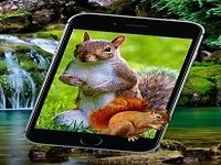 Tupai Di Layar Ponsel Lelucon Tupai Di Layar Ponsel Lelucon