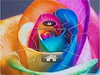 Rainbow Roses Live Wallpaper Rainbow Roses Live Wallpaper