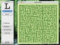 Labyrinthus Labyrinthus