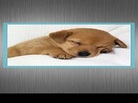 Nice Simple Photo Widget Nice Simple Photo Widget
