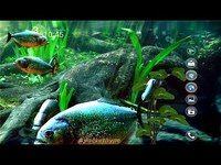 Piranha Aquarium 3D lwp Piranha Aquarium 3D lwp
