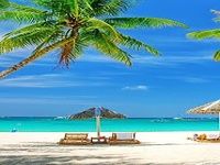 Summer Live Wallpaper Summer Live Wallpaper