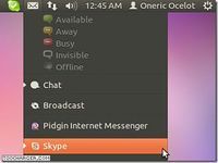 Skype Wrapper Skype Wrapper