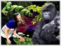 Animal FX Photo Editor Studio Animal FX Photo Editor Studio