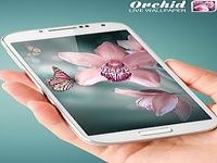 Orchidée Fond d'écran Animé Orchidée Fond d'écran Animé