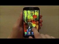 Autumn Forest Live Wallpaper Autumn Forest Live Wallpaper
