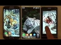 Tiger Live Wallpaper Tiger Live Wallpaper