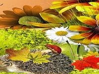 Autumn Flowers Wallpaper Autumn Flowers Wallpaper