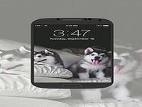 Puppy Wallpapers Puppy Wallpapers