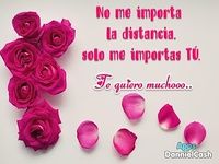 Flores con frases de amor románticos Flores con frases de amor románticos
