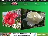 Imágenes de Flores Imágenes de Flores