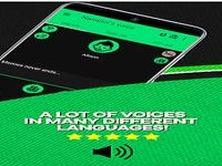 Narrator's Voice Narrator's Voice