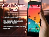 Ants In Phone Screen Prank Ants In Phone Screen Prank