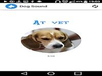 Dog Sounds Dog Sounds