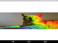GIF Pager GIF Pager