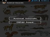 Animal Sounds Animal Sounds