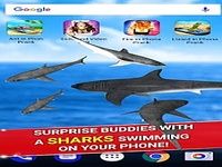 Shark in Phone Prank Shark in Phone Prank