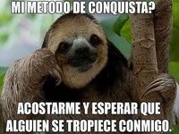 Memes Diarios latinos Memes Diarios latinos