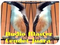 Audio Master Cendet Juara Audio Master Cendet Juara