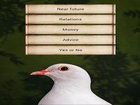 Destiny Dove Destiny Dove