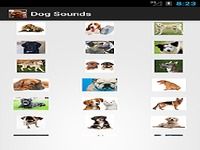 Sons de chiens Sons de chiens