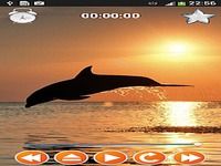 Dolphin Sounds Sleep & Relax Dolphin Sounds Sleep & Relax