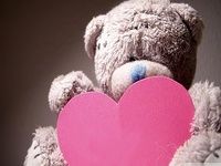 Teddy Bear Wallpaper Hd Teddy Bear Wallpaper Hd