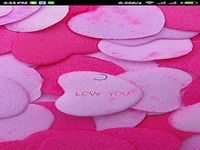 True Love Calculator True Love Calculator