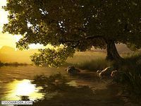 Lake Tree 3D Screensaver Lake Tree 3D Screensaver