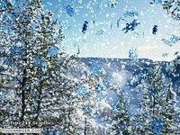 Snowflake 3D Snowflake 3D