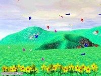 Butterflies Butterflies