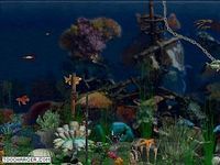 Deep Sea 2007 Deep Sea 2007