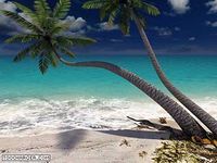 Sandy Beach 3D Screensaver Sandy Beach 3D Screensaver
