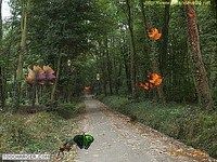 Nature Nature